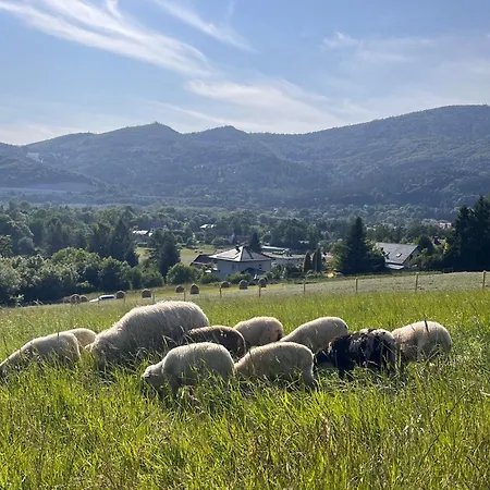 Przy Czerwonym Szlaku - The Red Trail Apartment *