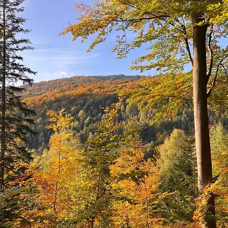 Apartment Przy Czerwonym Szlaku - The Red Trail *