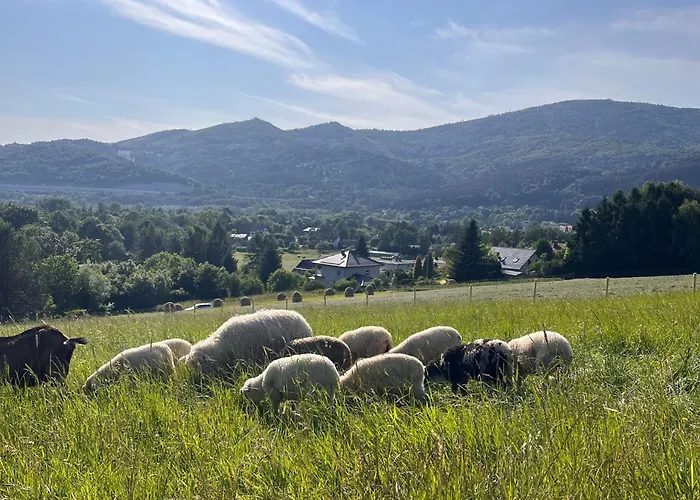 Przy Czerwonym Szlaku - The Red Trail Apartment *