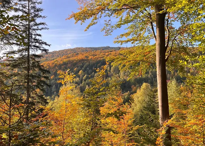 Apartment Przy Czerwonym Szlaku - The Red Trail *